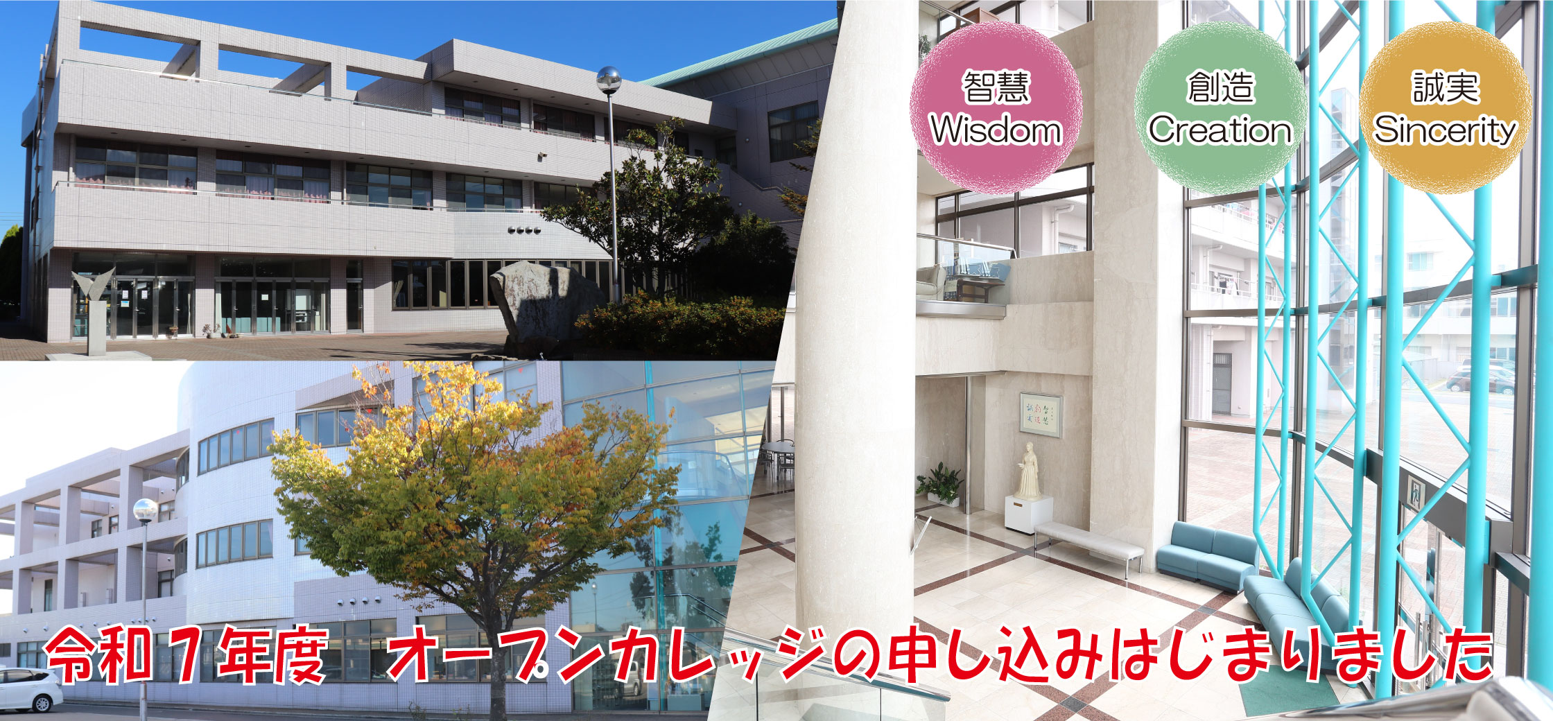外観から中に入ってくるイメージ
