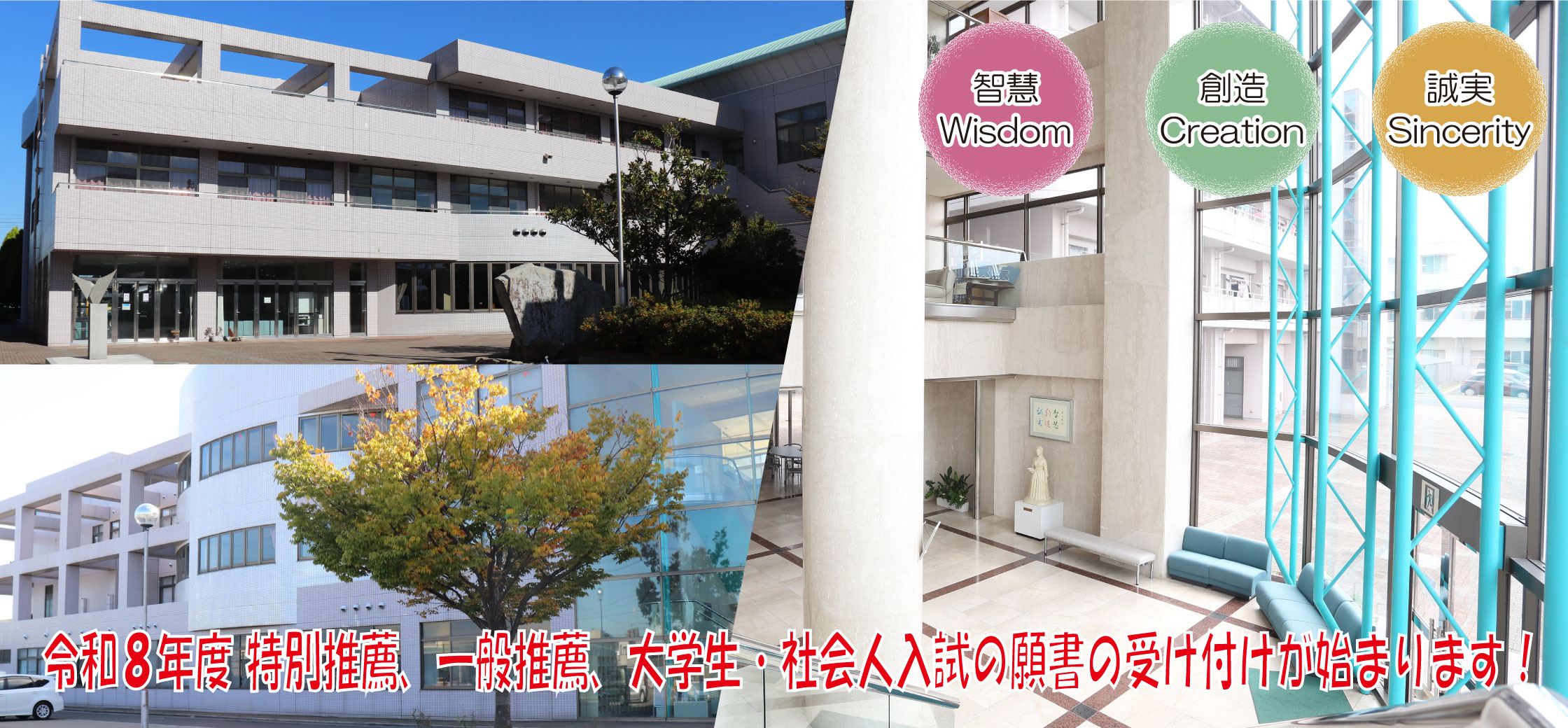 外観から中に入ってくるイメージ